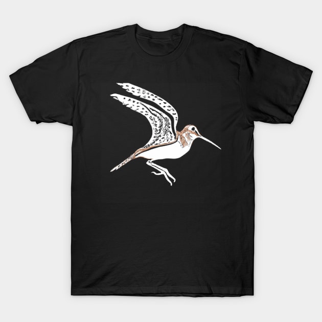 Common Snipe T-Shirt by Imutobi